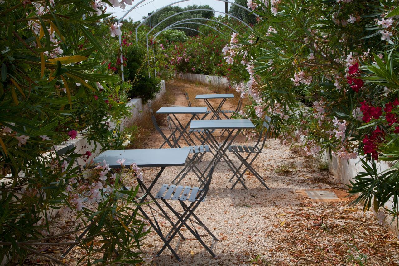 Fikus - The Apulian B&B Ceglie Messapica Exterior photo